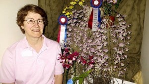 Submitted blue ribbon: Aunt Alma was a blue ribbon winner for master gardener Joy Lorenz at this year’s Gulf Coast Orchid Society Show.  The plant also earned the Best in Class award and Best Oncidium Alliance trophy.