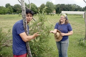 RIPE FRUIT: From left, Cirilo Villa and Amy Phelps raise blueberries organically at Pearl River Blues Berry Farm, located near Lumberton. Photo by Jeremy Pittari
