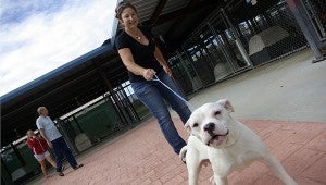 Jesse Wright| Picayune Item who’s a good boy?: Olaf is. Olaf is one of the dogs at the shelter looking for a home. Rhonda Furby holds his leash.