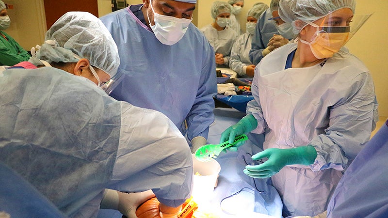 Health Class Students Perform Pumpkinectomy - Picayune Item 